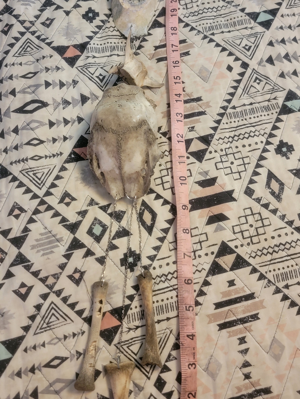 Decorative Animal Skull Hanging with Bones